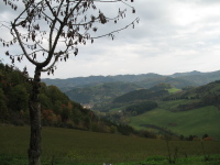 Emilia Romagna villas and vacation rentals