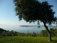 villa rentals in lake trasimeno umbria italy