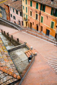villa rentals in perugia umbria italy