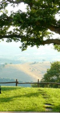 tuscany farmhouse rental