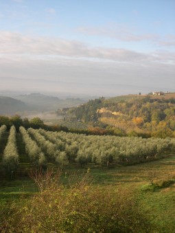 tuscany italy vacation homes