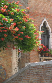 venice accommodations and vacation apartments