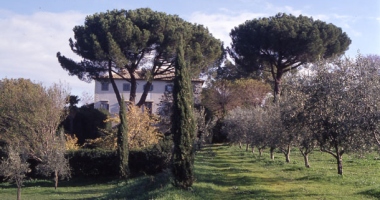 Villa Pianicara in Viterbo Roman Countryside